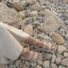 image:imageCUSHIONAIRE Mandy Wedge Sandals for Women  Strappy Platform Sandals with Arch Support Cute Summer EspadrilleStyle Platform Dressy SlipOnNude