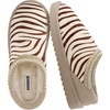 Brown Zebra